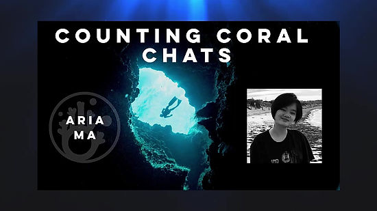 Counting Coral Chats -003- Interview with Arai Ma